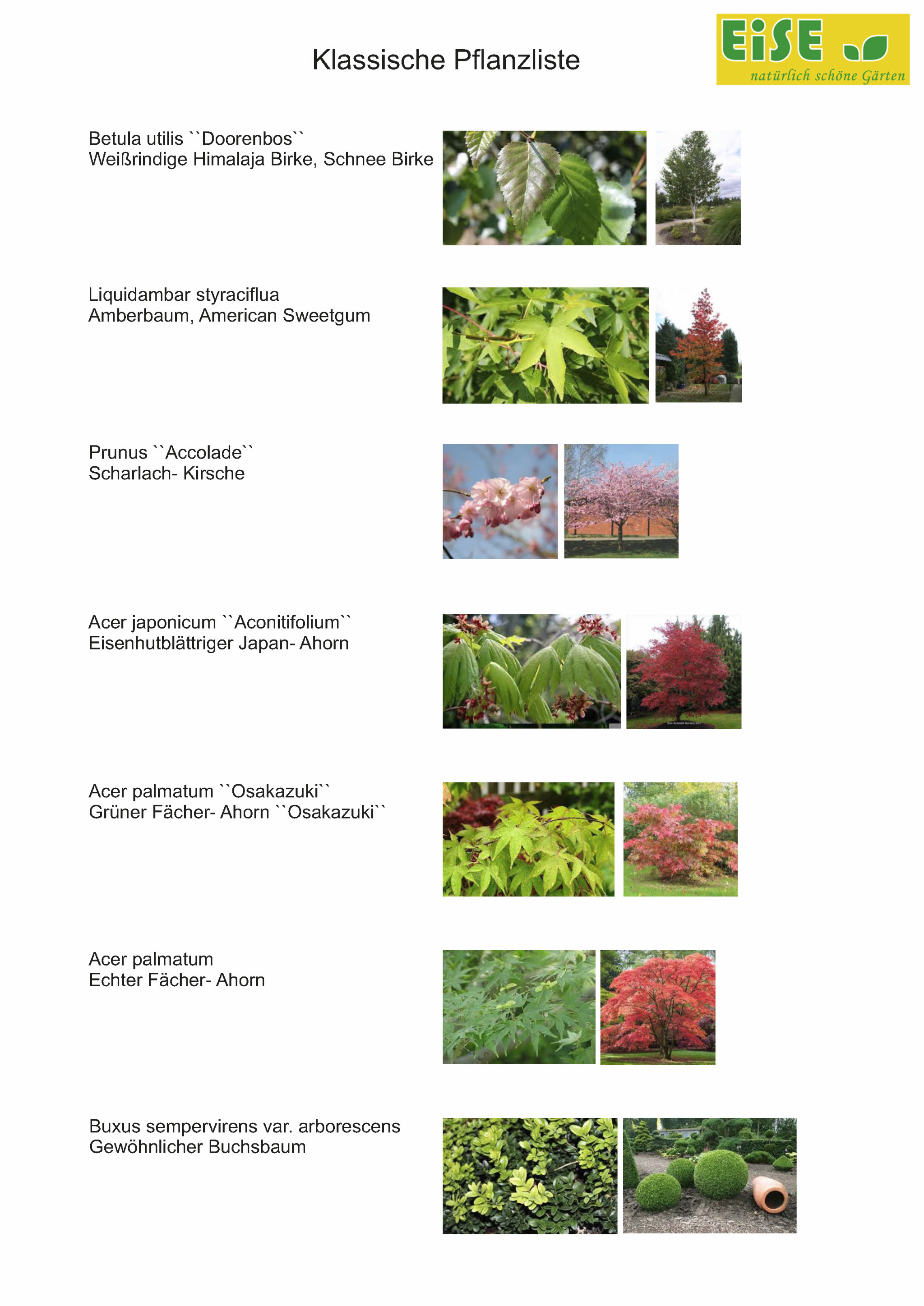 Klassische Pflanzenliste