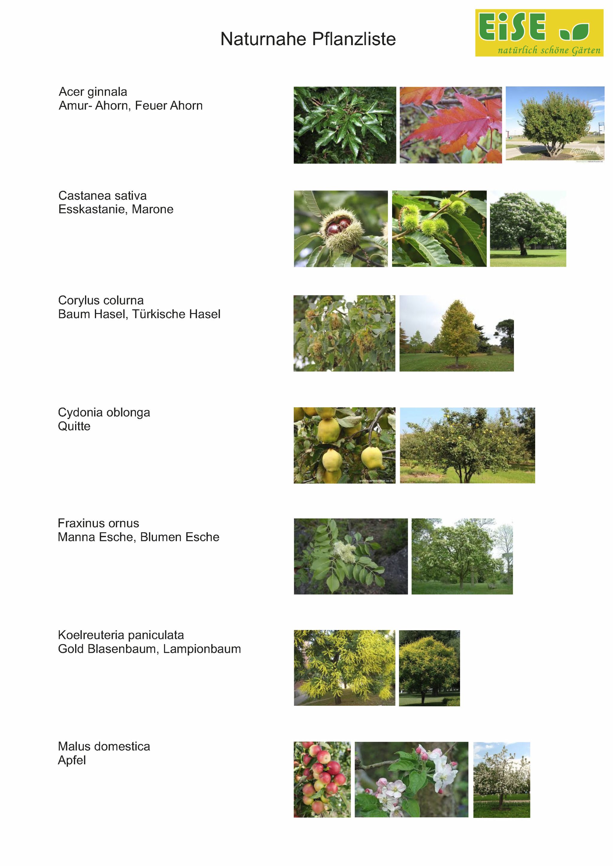 Naturnahe Pflanzliste