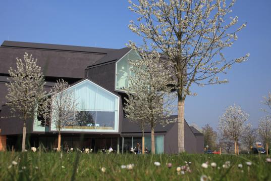 Welcher Baum ist der Richtige? Unsere Gartengestaltung für Ihre Zukunft 